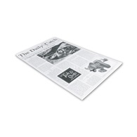 Papír nepromastitelný na snack - motiv noviny, 42x25 cm, 500 ks
