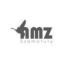 AMZ